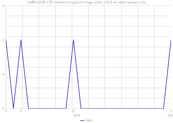 LABRADOR LTD (United Kingdom) Page visits 2024 