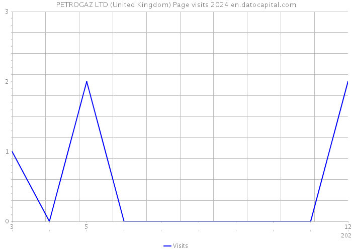 PETROGAZ LTD (United Kingdom) Page visits 2024 