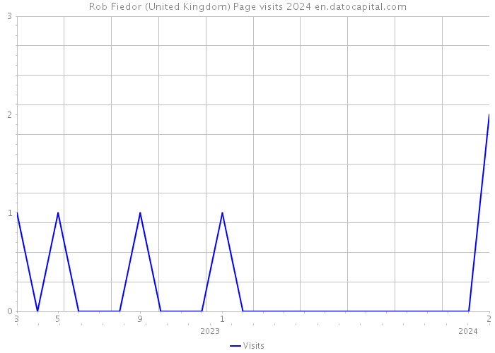 Rob Fiedor (United Kingdom) Page visits 2024 