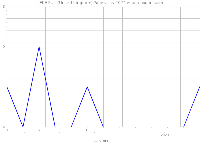 LEKE SULI (United Kingdom) Page visits 2024 