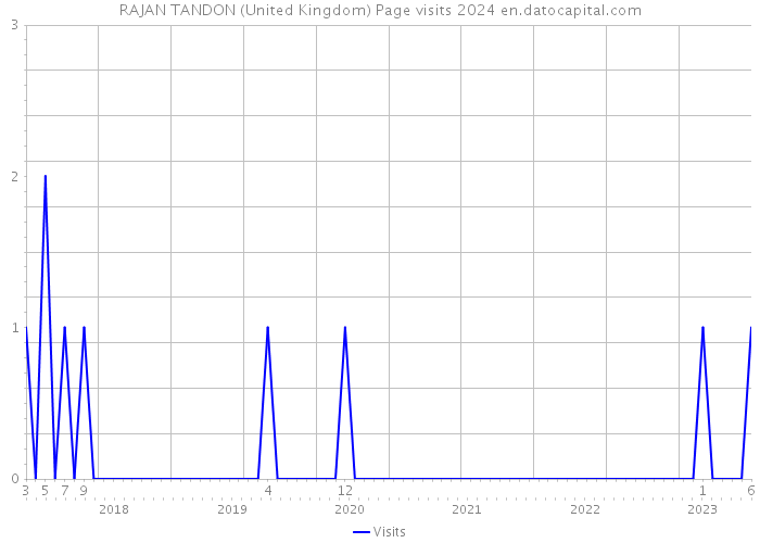 RAJAN TANDON (United Kingdom) Page visits 2024 