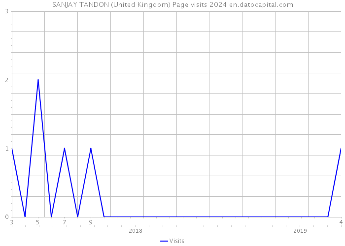 SANJAY TANDON (United Kingdom) Page visits 2024 