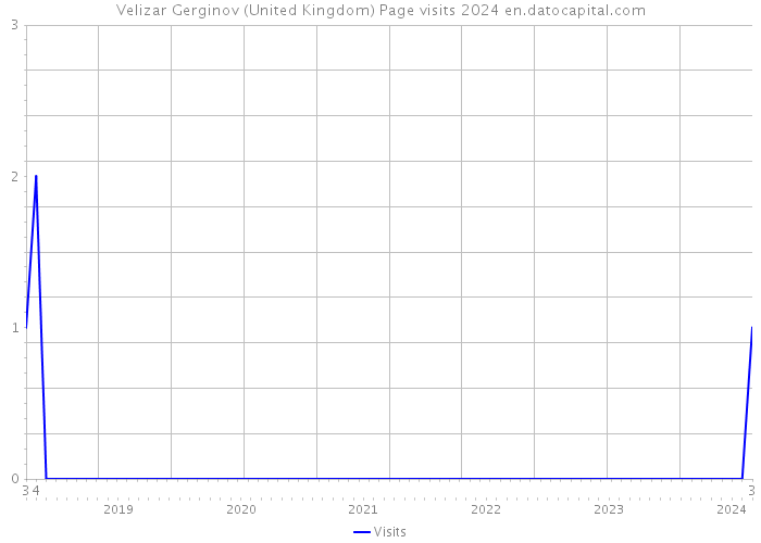 Velizar Gerginov (United Kingdom) Page visits 2024 