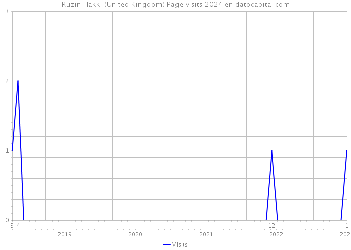 Ruzin Hakki (United Kingdom) Page visits 2024 