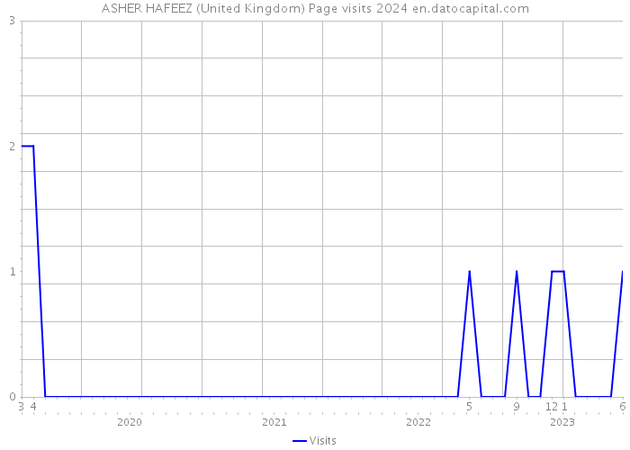 ASHER HAFEEZ (United Kingdom) Page visits 2024 