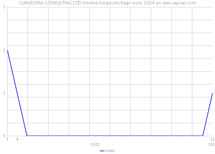 CURADORA CONSULTING LTD (United Kingdom) Page visits 2024 