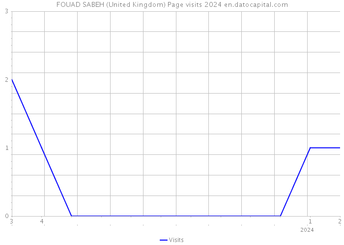 FOUAD SABEH (United Kingdom) Page visits 2024 