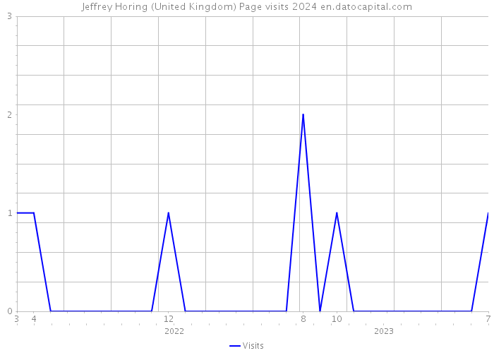 Jeffrey Horing (United Kingdom) Page visits 2024 