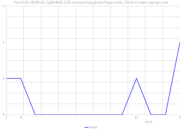 FLAVIUS GEORGE CLEANING LTD (United Kingdom) Page visits 2024 