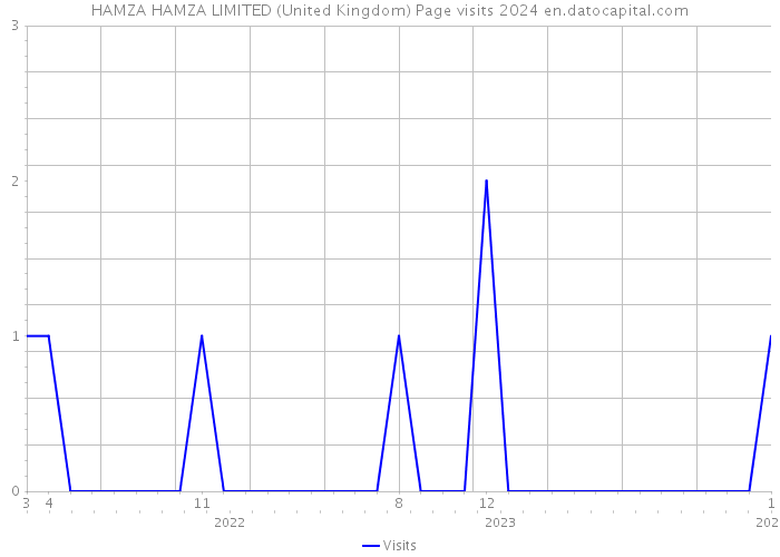 HAMZA HAMZA LIMITED (United Kingdom) Page visits 2024 