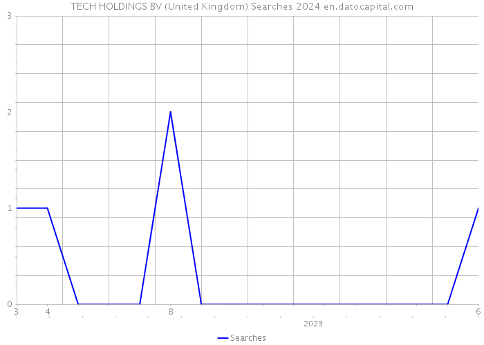 TECH HOLDINGS BV (United Kingdom) Searches 2024 