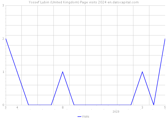 Yossef Lubin (United Kingdom) Page visits 2024 