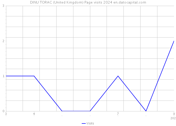 DINU TORAC (United Kingdom) Page visits 2024 