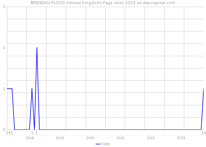 BRENDAN FLOOD (United Kingdom) Page visits 2024 