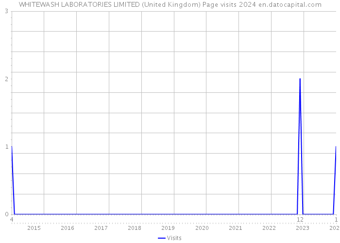WHITEWASH LABORATORIES LIMITED (United Kingdom) Page visits 2024 