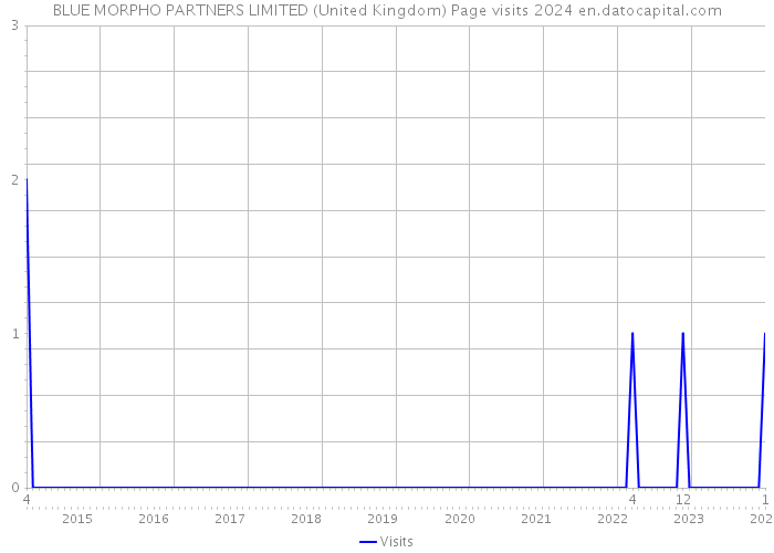 BLUE MORPHO PARTNERS LIMITED (United Kingdom) Page visits 2024 
