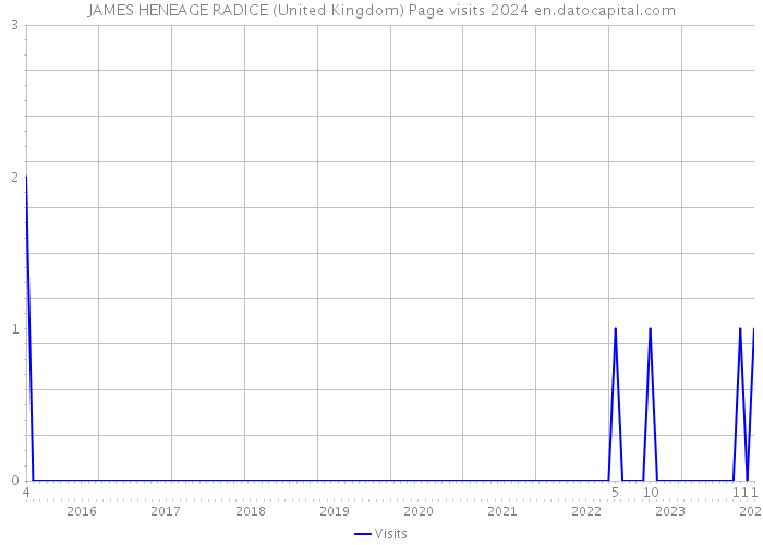 JAMES HENEAGE RADICE (United Kingdom) Page visits 2024 