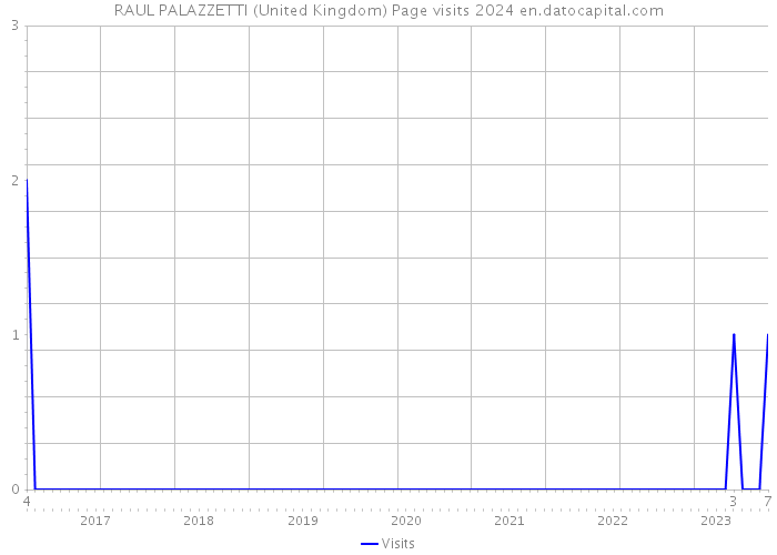 RAUL PALAZZETTI (United Kingdom) Page visits 2024 
