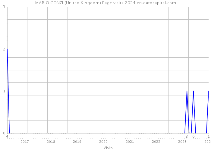 MARIO GONZI (United Kingdom) Page visits 2024 