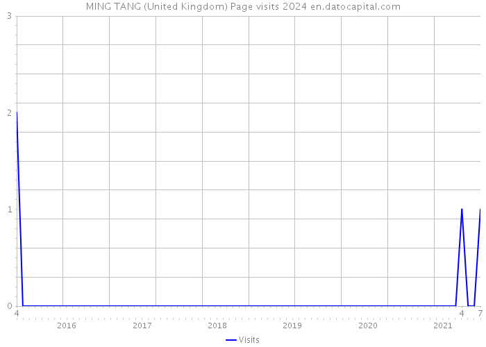 MING TANG (United Kingdom) Page visits 2024 