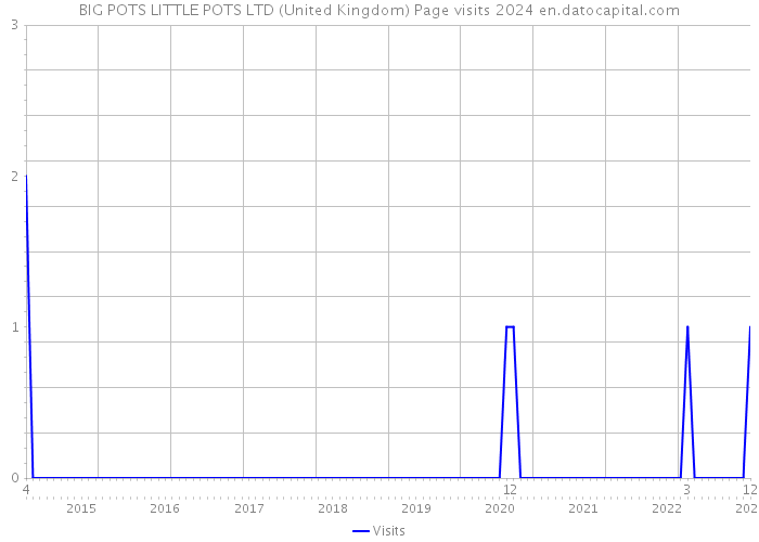 BIG POTS LITTLE POTS LTD (United Kingdom) Page visits 2024 
