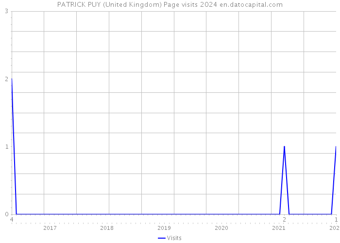 PATRICK PUY (United Kingdom) Page visits 2024 