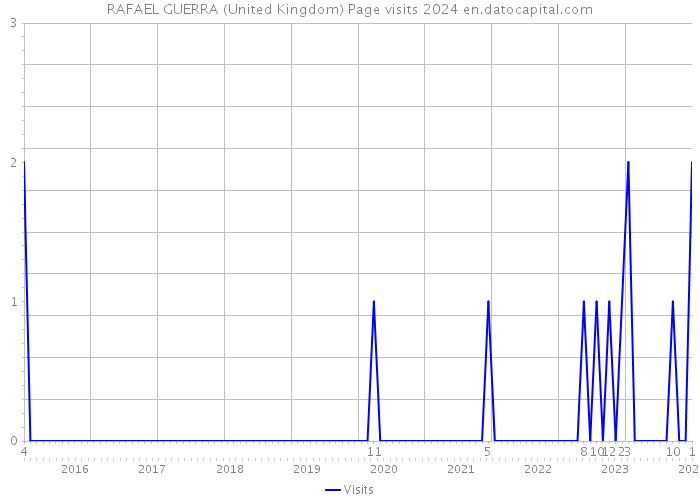 RAFAEL GUERRA (United Kingdom) Page visits 2024 
