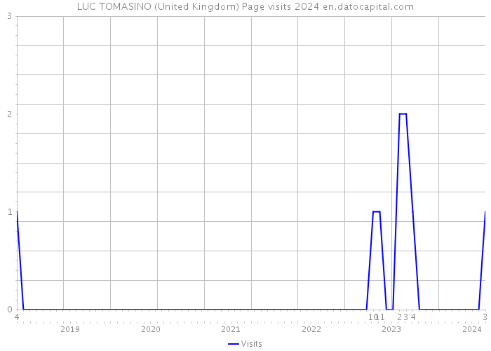 LUC TOMASINO (United Kingdom) Page visits 2024 