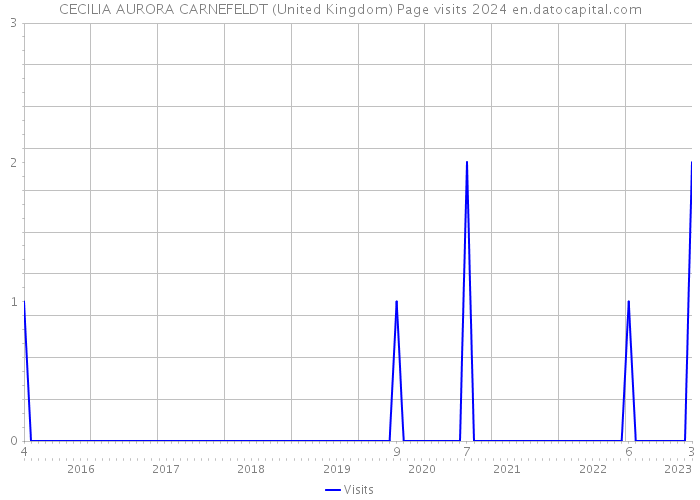 CECILIA AURORA CARNEFELDT (United Kingdom) Page visits 2024 