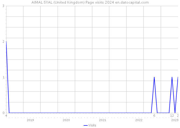 AIMAL SYAL (United Kingdom) Page visits 2024 