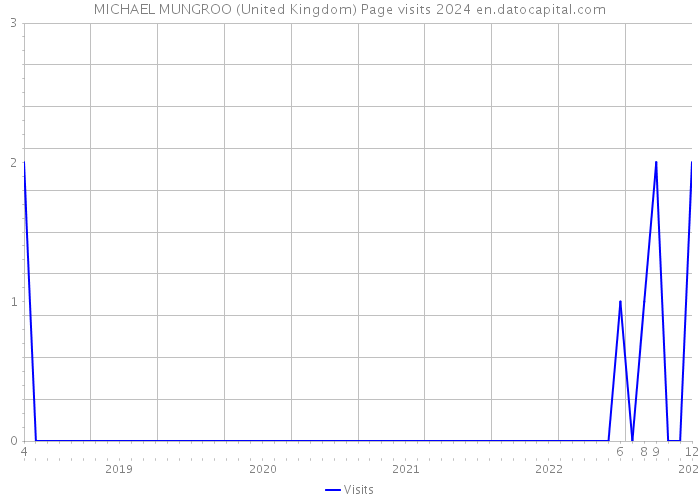 MICHAEL MUNGROO (United Kingdom) Page visits 2024 