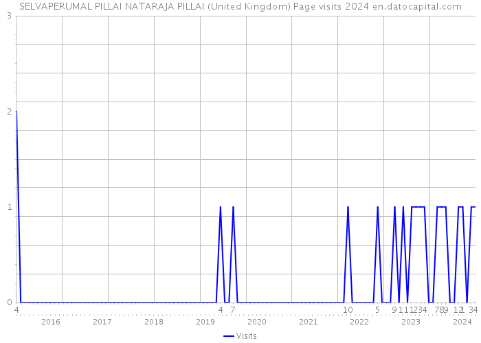 SELVAPERUMAL PILLAI NATARAJA PILLAI (United Kingdom) Page visits 2024 