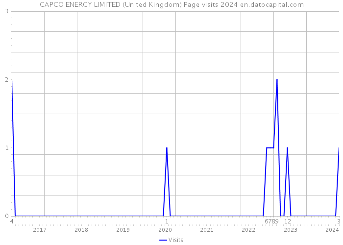 CAPCO ENERGY LIMITED (United Kingdom) Page visits 2024 