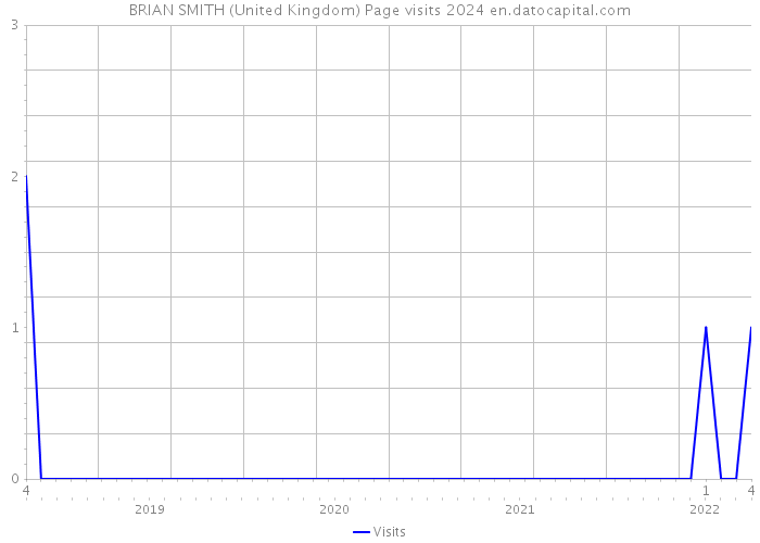 BRIAN SMITH (United Kingdom) Page visits 2024 