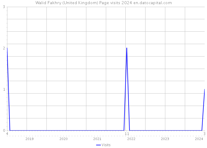 Walid Fakhry (United Kingdom) Page visits 2024 