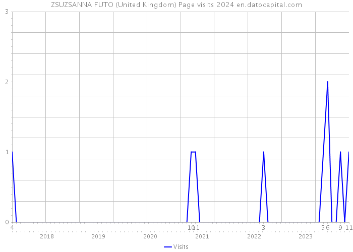ZSUZSANNA FUTO (United Kingdom) Page visits 2024 
