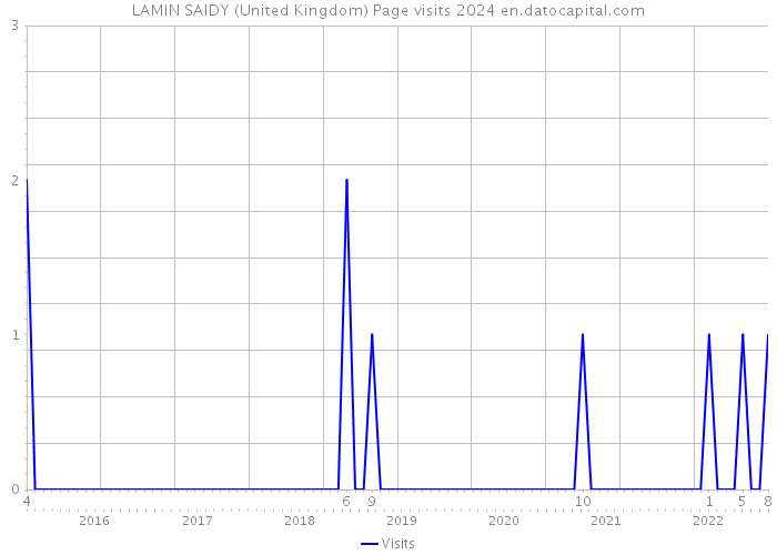 LAMIN SAIDY (United Kingdom) Page visits 2024 