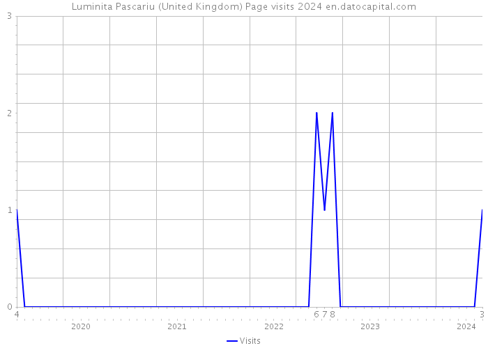 Luminita Pascariu (United Kingdom) Page visits 2024 