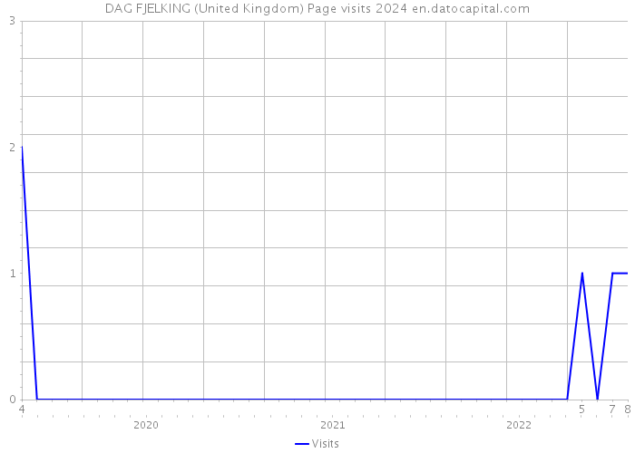 DAG FJELKING (United Kingdom) Page visits 2024 