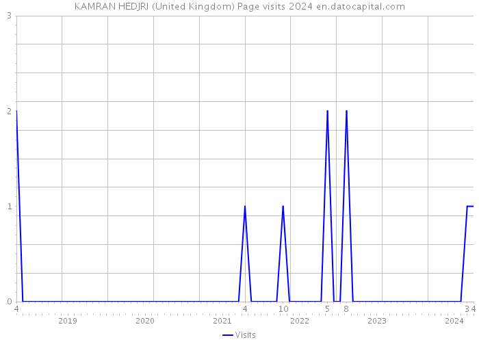 KAMRAN HEDJRI (United Kingdom) Page visits 2024 