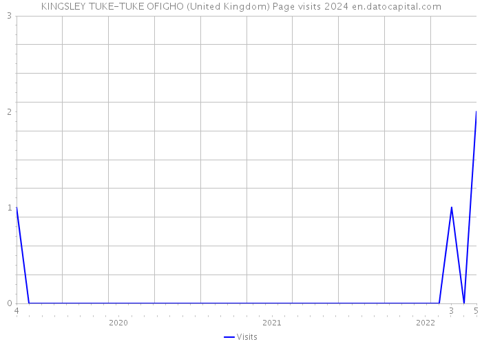 KINGSLEY TUKE-TUKE OFIGHO (United Kingdom) Page visits 2024 