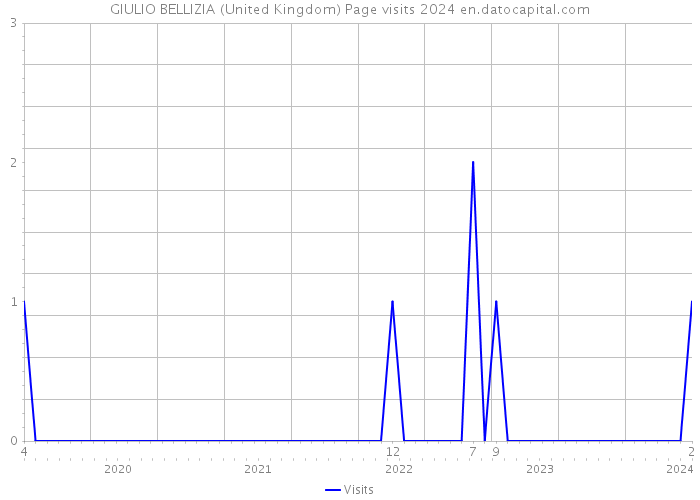 GIULIO BELLIZIA (United Kingdom) Page visits 2024 