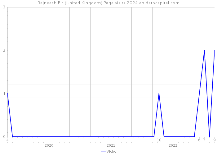 Rajneesh Bir (United Kingdom) Page visits 2024 