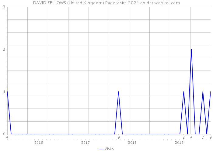 DAVID FELLOWS (United Kingdom) Page visits 2024 