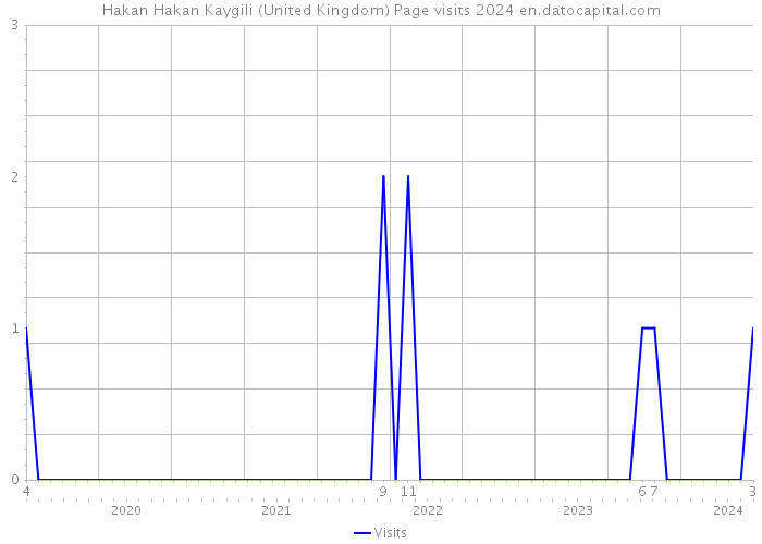 Hakan Hakan Kaygili (United Kingdom) Page visits 2024 