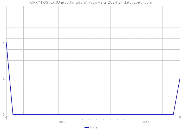 GARY FOSTER (United Kingdom) Page visits 2024 
