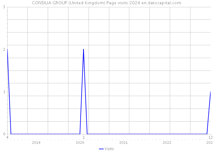 CONSILIA GROUP (United Kingdom) Page visits 2024 