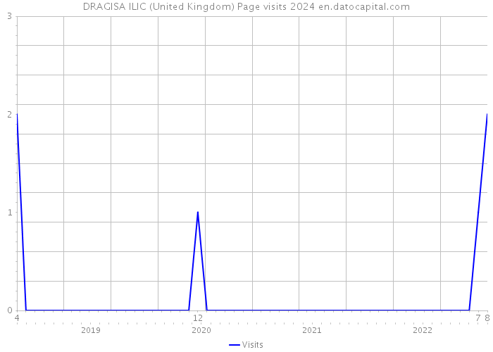 DRAGISA ILIC (United Kingdom) Page visits 2024 