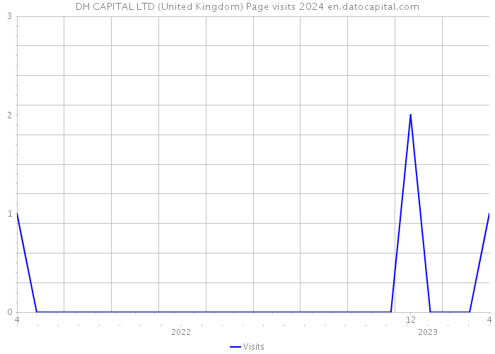 DH CAPITAL LTD (United Kingdom) Page visits 2024 