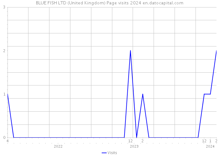 BLUE FISH LTD (United Kingdom) Page visits 2024 